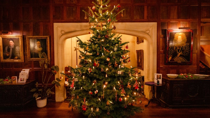 A large Christmas tree in front of a fire place, with portraits on the wooden walls and dim lighting.